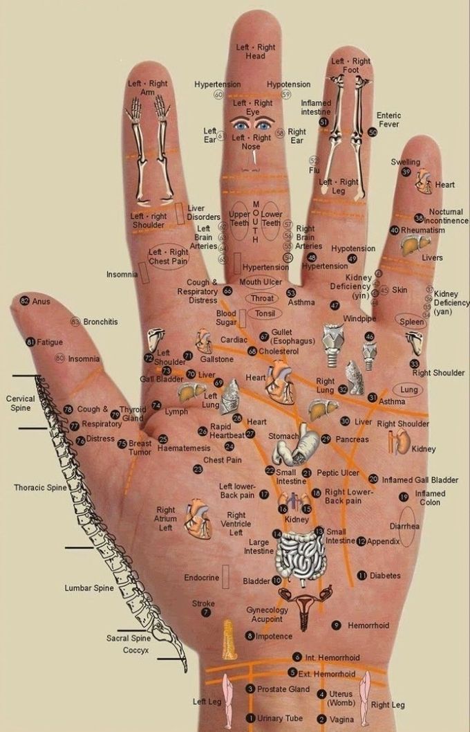 Här ser ni vilka delar i kroppen ni kommer åt när ni använder ringen på alla fingrarna.